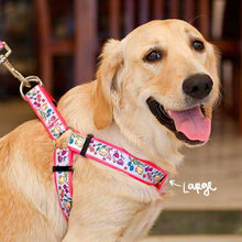 Collars & Leashes - Tweet Tweet Harness
